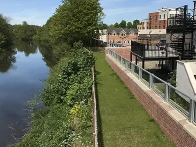 Project Munio, Derby